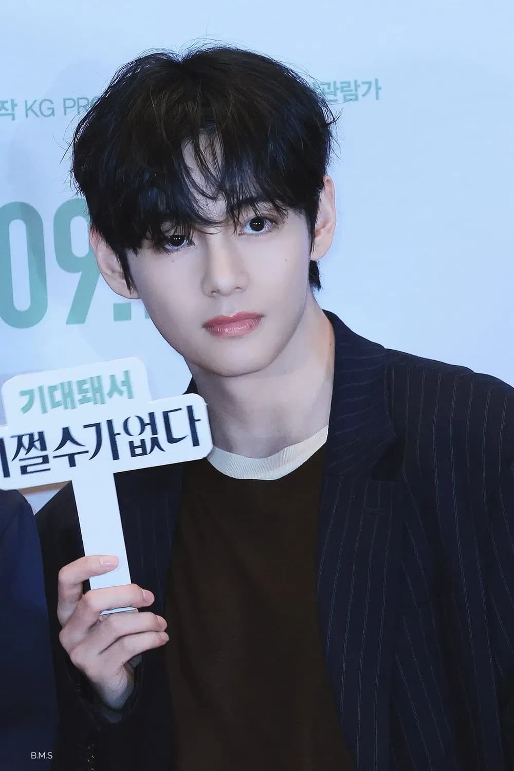 BTS 뷔 프로필