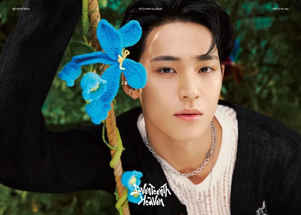 세븐틴 민규